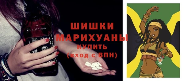ГАЛЛЮЦИНОГЕННЫЕ ГРИБЫ Карпинск