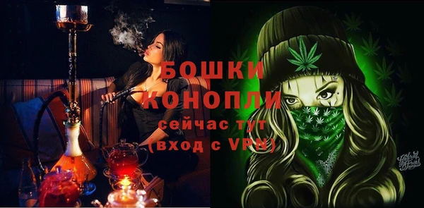 ГАЛЛЮЦИНОГЕННЫЕ ГРИБЫ Карпинск